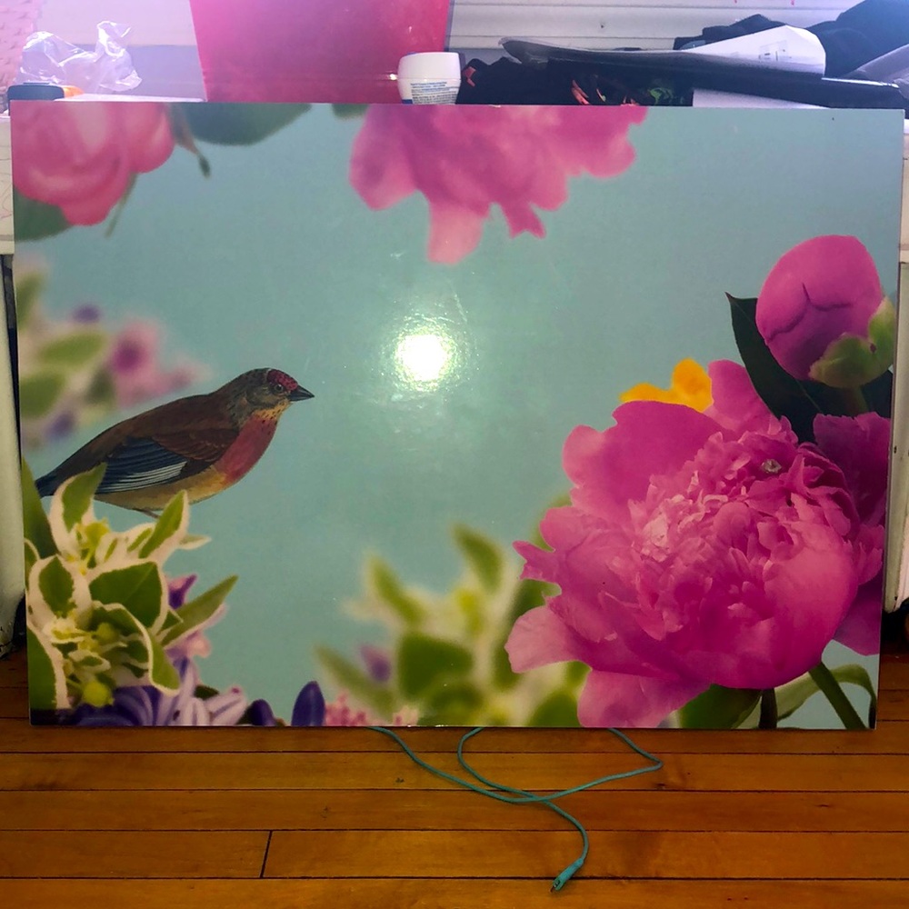 SOLMYRA photo